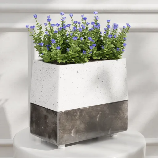 Blue Flowers