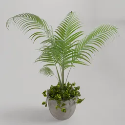 Potted Palm Plant