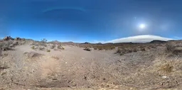 Bluesky Ground Dirt DryGrass