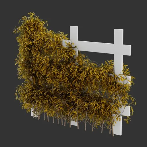 Simple Rail Ivy Autumn Plant