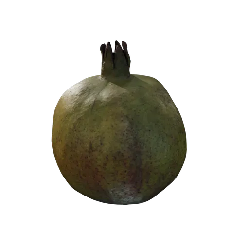 Punica granatum