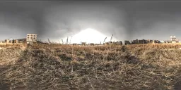 Overcast Abandoned Field