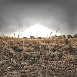 Overcast Abandoned Field