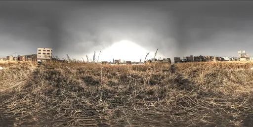 Overcast Abandoned Field