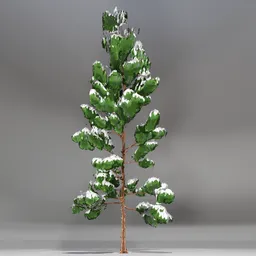 Snow Pine Toon Tree