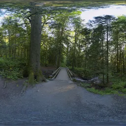 Path in BC Forest