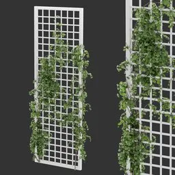 Simple Grid Ivy Plant