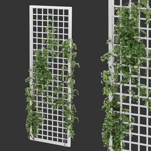 Simple Grid Ivy Plant