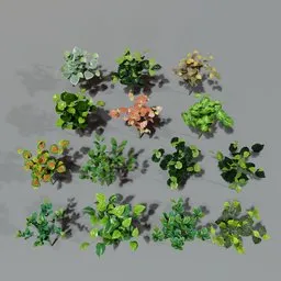 "Artificial plant pack 45 cm: Close-up of a variety of indoor plants on a table, featuring spiral bushes, withered textures, and vibrant colors. Created in Blender 3D by Nōami, these high-quality 3D models are perfect for game top-down views, vertical gardens, and creating a realistic atmosphere. Get this pack from https://hk-green.eu/artificial-plants-c3 for 14 stunning artificial plant options."