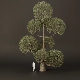 SJ-Ornamental Tree Pillar Dream