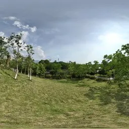 Sunshine Bluesky Grassland