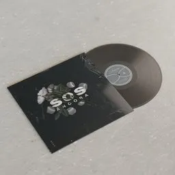 Vinyl Record with Album Sleeve