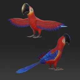 Stylized Parrot