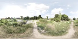 Bright Rural Field – Midday Sun HDRI