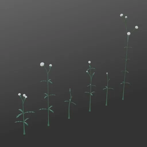 Stylized Fluffy Flowered Weed