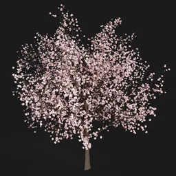 Sakura Tree