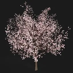 Sakura Tree