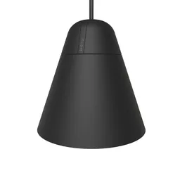 Biamp Desono P60DT Black