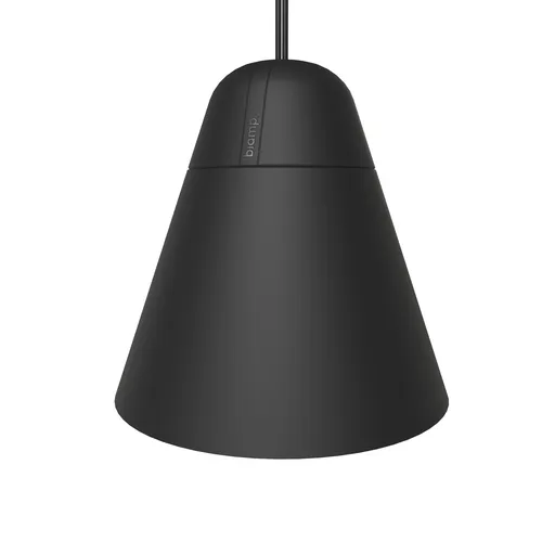 Biamp Desono P60DT Black