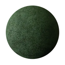 Grass