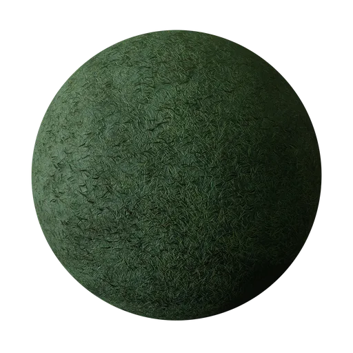 Grass
