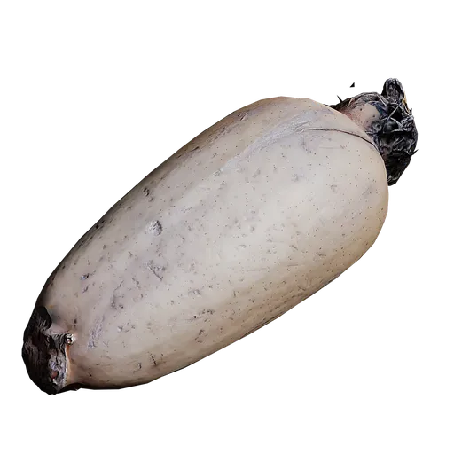 Detailed 3D lotus root model with high-resolution 8K textures, suitable for Blender rendering.