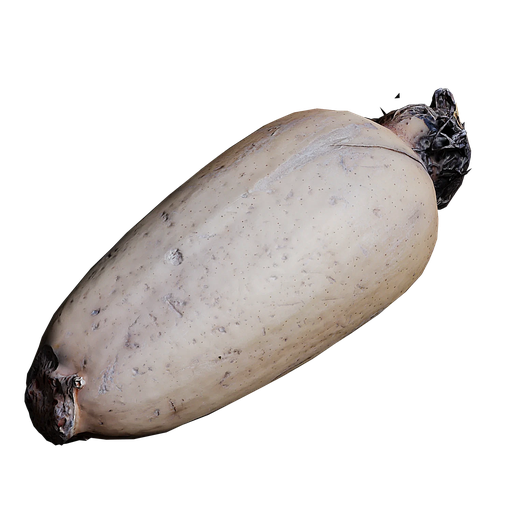 Scan Lotus Root