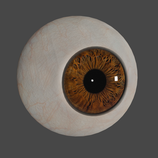 Eye - brown