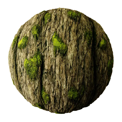 Tree Bark With Moss