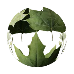 High-resolution PBR American Sycamore leaf textures for 3D modeling in Blender, realistic organic shader.