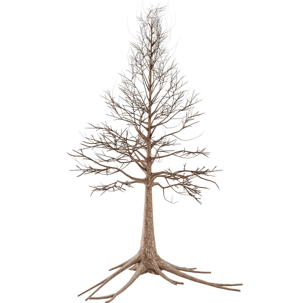 Tree - Old Dry with Roots | Trees models | Blendkit