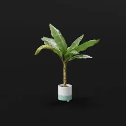 Tropical Banana Tree Pot Animated