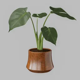 Monstera Deliciosa in Ceramic Vase