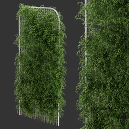 Fence Ivy Simple Plant AQ