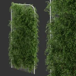 Fence Ivy Simple Plant AQ