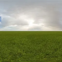 Green grass cloudy blue sky pure sky