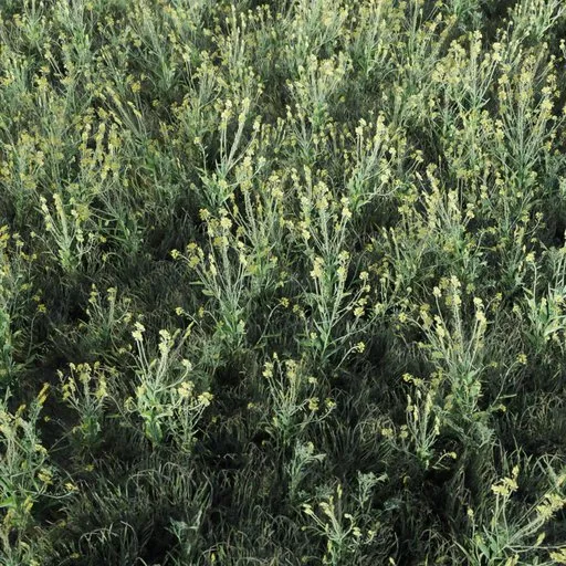 Detailed 3D model of tall grass with yellow flowers, optimized and game-ready for Blender scenes.