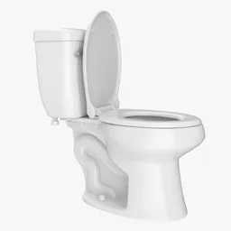 White Toilet