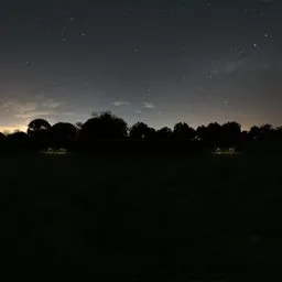 Garden Summer Backdrop Night