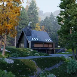 Forest Cabin