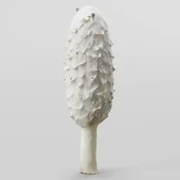 White Mushroom coprinus comatus scanned