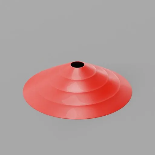 Practice Disk