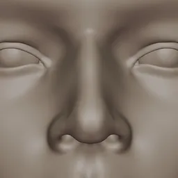 Generic Male Nose Realistic