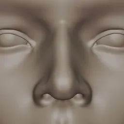 Generic Male Nose Realistic