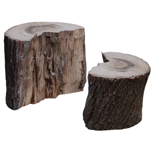Cutted Stump