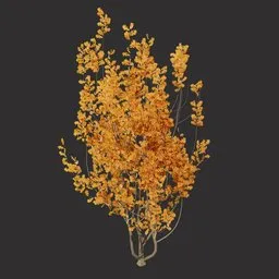 Autumn Oak Bush