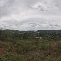 Bloem Hill 01