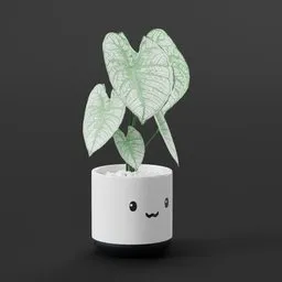 Translucent Caladium Plant Cute Pot