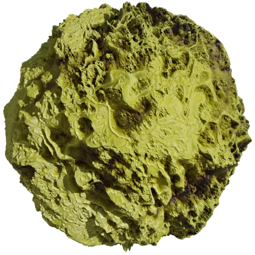 Fossil Reef