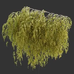 Wall Hanging Autumn Plant